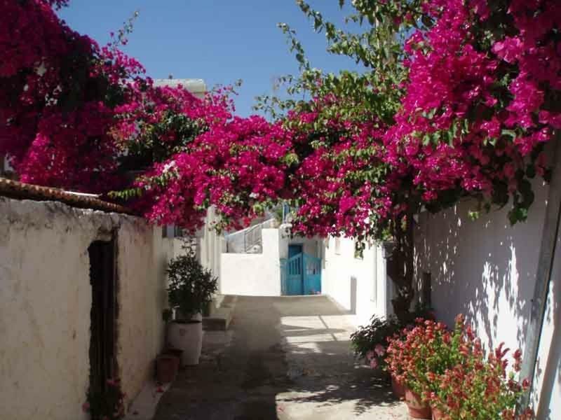Tourloti Village House 외부 사진